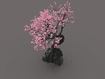 Pink Cherry Blossom Bonsai Tree With Curved Trunk And Black Stone Base On Gray Background 3d model