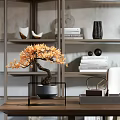 Modern Study Room With Orange Yellow Bonsai Tree Grey Pot Bookshelf Books And Decorative Items