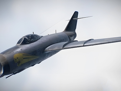 Realistic Fighter 3D Model 3d model