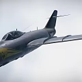 Realistic Fighter 3D Model 3d model