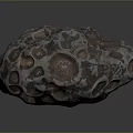 Natural Wood Stone with Unique Holes and Intricate Purple Surface Texture Design