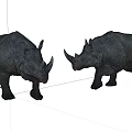 Two Dark Reptiles With Horns Walking On White Background Surface 3d model