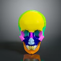 Detailed Colorful 3D Human Skull Organ Model With Hair Structure And Anatomical Features