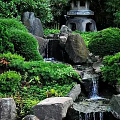 Serene Garden Ornament With Waterfall Rocks Lush Green Plants And Stone Lantern