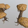 Unique Mushroom Like Plants With Multiple Umbrella Shaped Caps Twisted Trunks And Hanging Tendrils