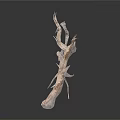 Dry Tree Branches With Twisted Bare Limbs On White Background 3d model