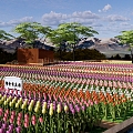 Modern Flower Sea Tulip Flower Field Park Landscape Romantic Flower Sea Internet Celebrity Tourist Attractions Landscape Wooden Plank Road Dutch Cart 3d model