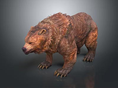 Brown Bear With Thick Brown Red Fur Standing On Gray Background Surface 3d model