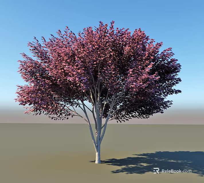 Lush Purple Leaf Arbor with White Trunk Against Blue Sky and Gray Ground 3d model 