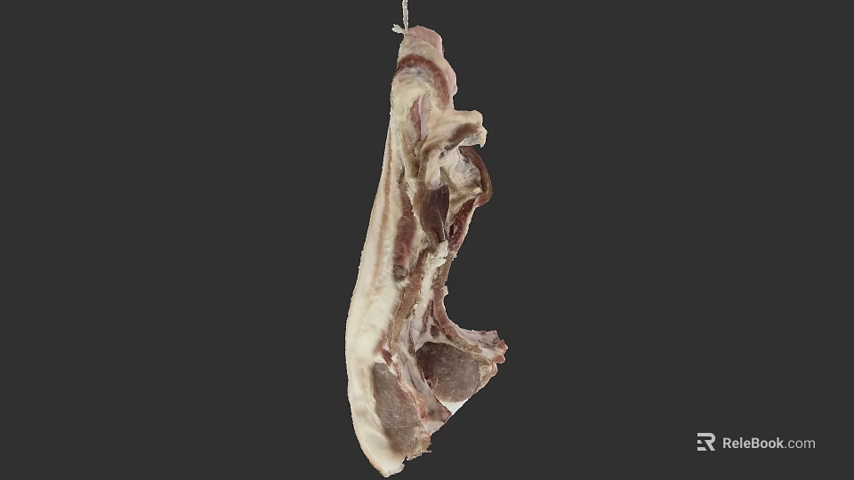 Hanging Raw Bone In Meat Cuts Showing White And Red Color 3d model 