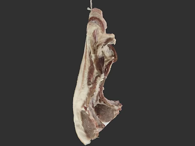 Hanging Raw Bone In Meat Cuts Showing White And Red Color 3d model