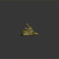 Crocodile Alligator Nile Crocodile carnivore reptile cold-blooded animal reptile 3d model