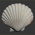 Artistic Carved Shell Sculpture With White Pink Edges And Detailed Radial Textures
