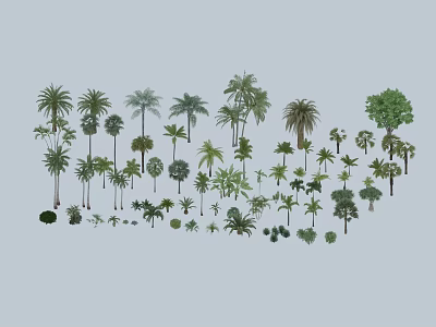 Diverse Arbor Tree Collection Featuring Palm Broadleaf And Various Species For Landscaping 3d model