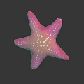 Pink Starfish Doll with White Spots on Dark Background with Reflection 3d model