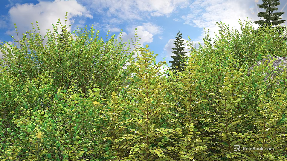 Lush Green Shrubs In Natural Outdoor Landscape With Blue Sky And Scenic Environment 3d model 