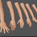 Realistic Male Arm Models in Six Different Poses Against Grey Background