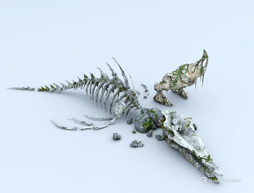 Dinosaur Skeleton With Partial Bones Covered In Moss And Scattered Stones 3d model