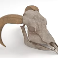 Vintage Animal Skull Decorative Ornament Set with Natural Horns for Home