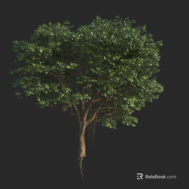 Tall Arbor With Lush Green Foliage Strong Trunk And Extensive Roots 3d model 
