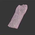 Gray Petrified Wood Stone with Natural Textured Surface on Black Background