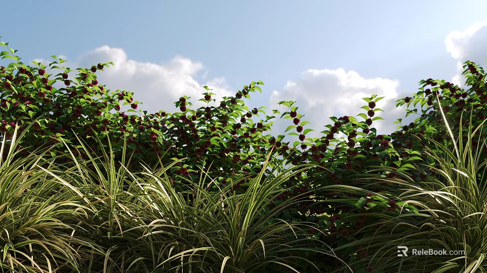 Lush Shrubs With Red Berries and Green Leaves Growing Under Blue Sky With White Clouds 3d model 