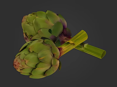 Two Fresh Green Whole Artichokes With Stems On Dark Background 3d model