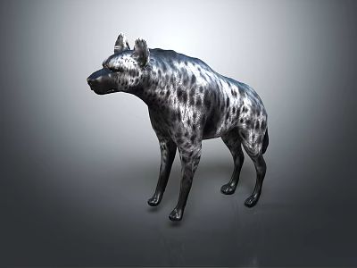 Spotted Hyena With Sleek Fur Standing On Smooth Surface Against Gray Background 3d model