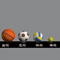 Different Types of Sports Equipment Including Basketball Soccer Ball Volleyball and Golf Ball