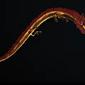 Golden Red Dragon With Long Serpentine Body Flying In Light Blue Sky