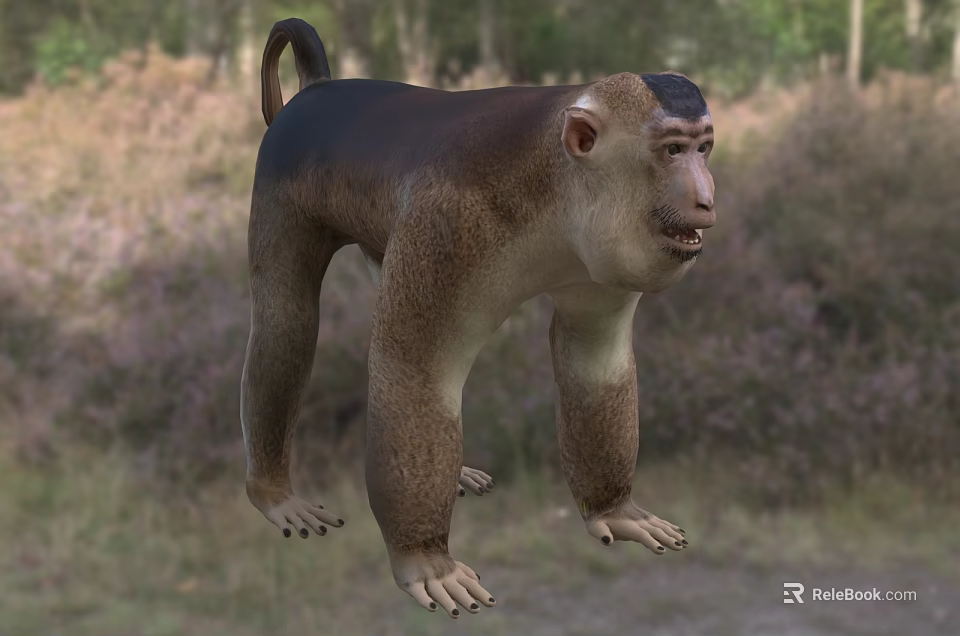 Monkey With Brown And Beige Fur Standing In Natural Grass Trees Habitat Area 3d model 