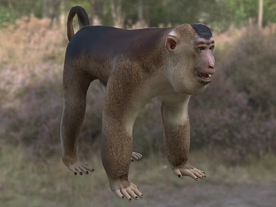 Monkey With Brown And Beige Fur Standing In Natural Grass Trees Habitat Area 3d model