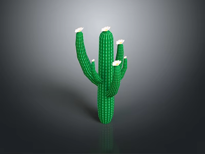 Green Cactus Plant With White Flowers And Multiple Branches On Dark Background 3d model