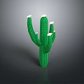 Green Cactus Plant With White Flowers And Multiple Branches On Dark Background