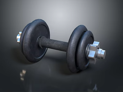 Black Adjustable Dumbbell With Metal Nuts And Weight Plates For Home Fitness Use 3d model