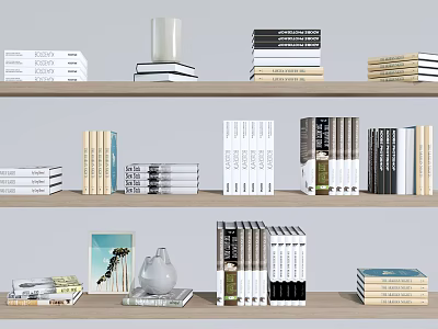 Books And Magazines Collection On Wooden Bookshelves With Decorative Items 3d model