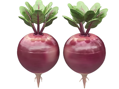 Fresh Organic Purple Red Beets with Green Leaves and White Roots 3d model