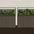 Double Aquariums With Rocks Aquatic Plants And Fish On Wooden Cabinets With Shadows