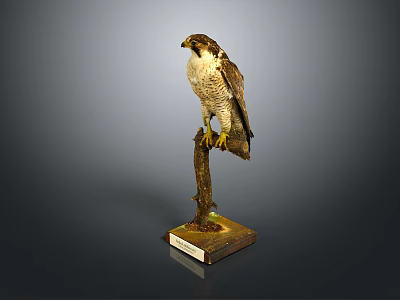 Falcon Perched On Wooden Stand With Brown Feathers And Yellow Talons 3d model