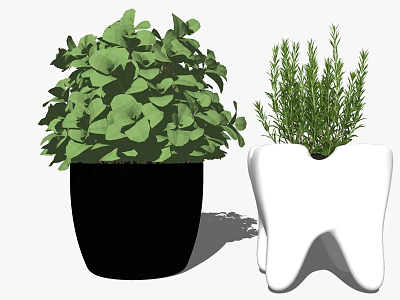 Modern Potted Plant Decorative Plant Potted Plant 3d model