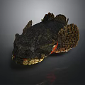 Distinctive Aquatic Animal With Black Body Large Mouth Fan Shaped Fins And Red Accents