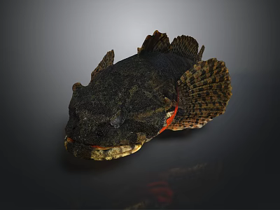 Distinctive Aquatic Animal With Black Body Large Mouth Fan Shaped Fins And Red Accents 3d model