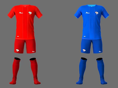 Football Clothes 2013 3d model