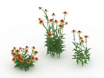 Natural Blooming Orange Yellow Flowers With Green Leaves In Three Clusters 3d model