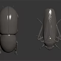 Two Metallic Beetles 3D Rendered With Shiny Shells On Dark Reflective Surface