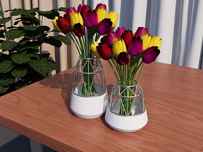 Tulip Vase Fashion Vase Indoor Flower Potted Plant Indoor Plant Vase 3d model