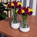 Tulip Tulip Vase Fashion Vase Indoor Flower Potted Plant Indoor Plant Vase 3d model