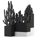 Green Spiky Cactus Potted Plants In Black Square Pots Stacked Arrangement