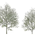Decorative Ornament Combination Featuring White Flower Trees And Human Silhouette Decor Elements 3d model