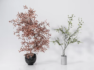 Red Leaf Green Branch Bonsai Potted Plants in Black Silver Pots on White Background 3d model